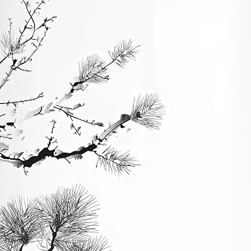 Profile photo of ningmuyusong